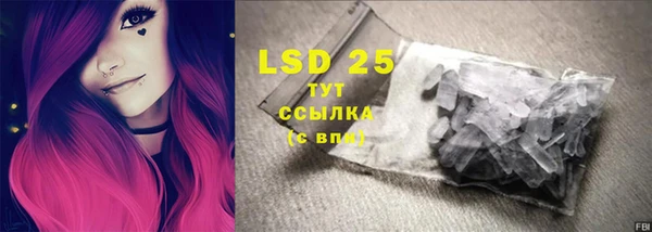 хмурый Ладушкин
