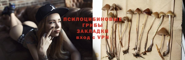 хмурый Ладушкин