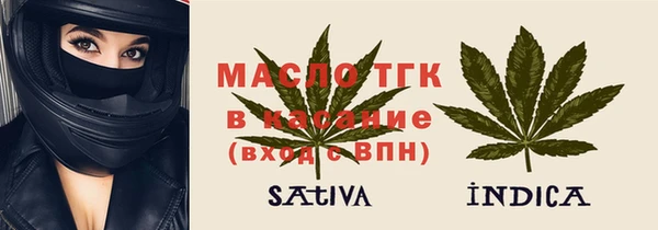 хмурый Ладушкин