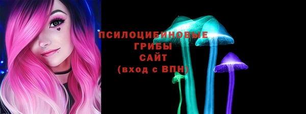 хмурый Ладушкин