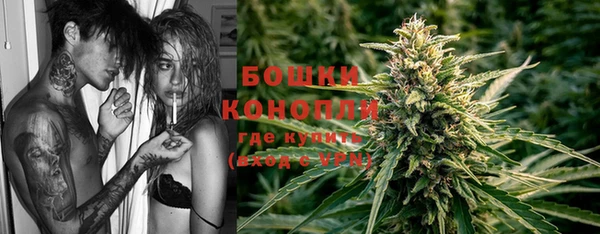 хмурый Ладушкин