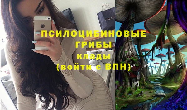 хмурый Ладушкин